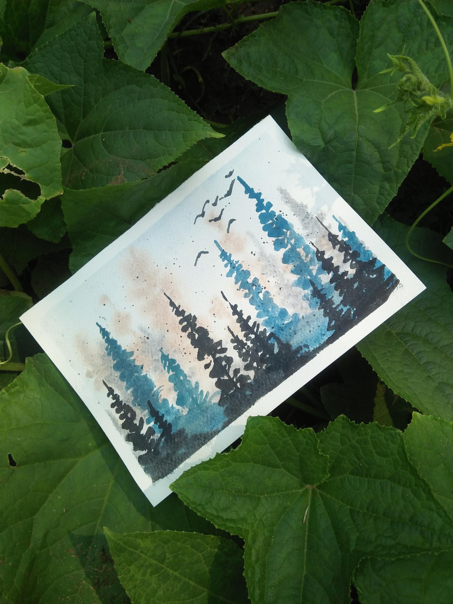Misty pine forest - image 1 - student project