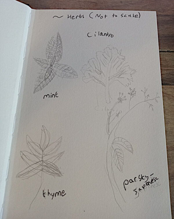 Leaves 100 Ways--Restart. - image 6 - student project
