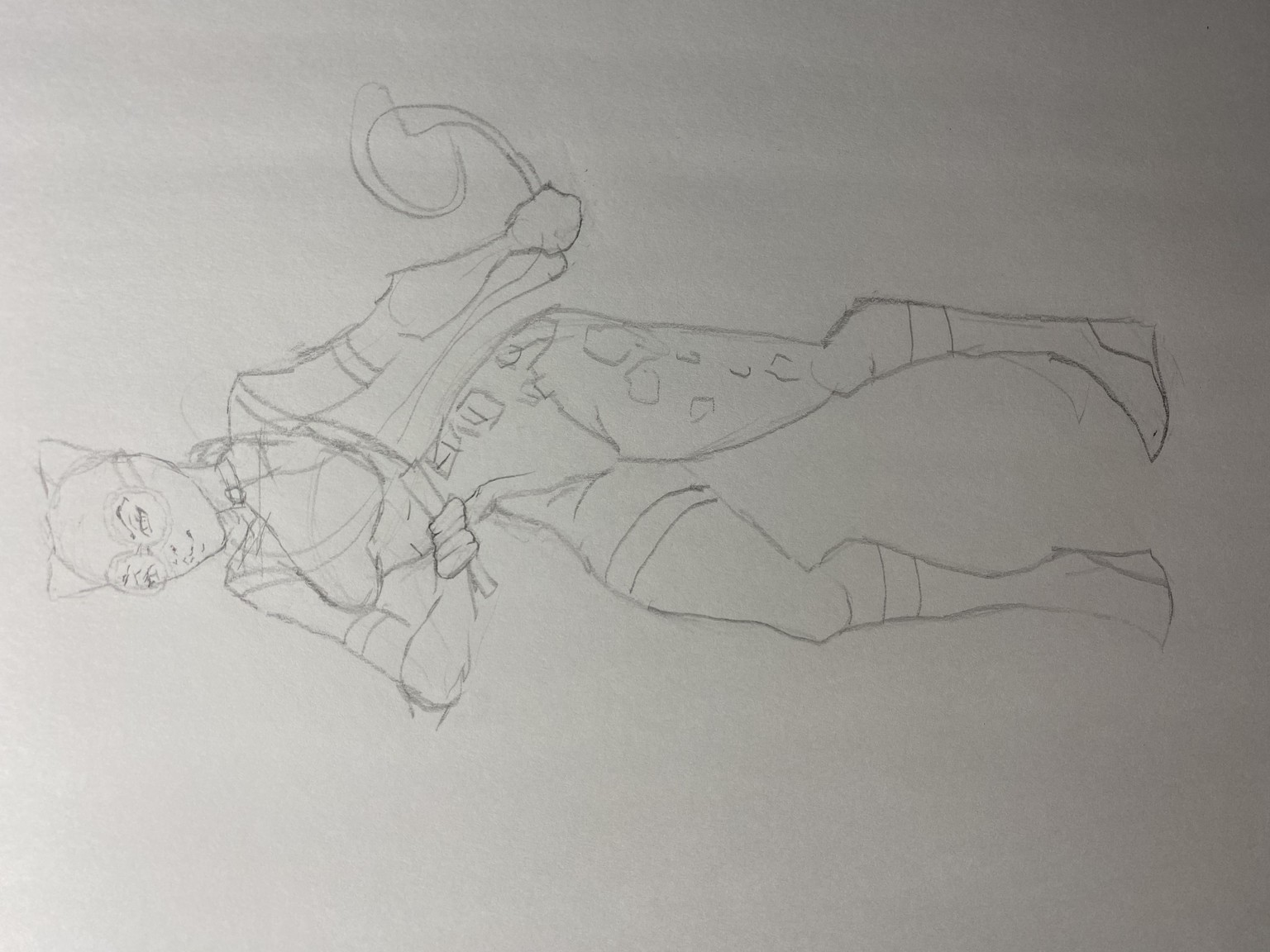 Catwoman - image 2 - student project