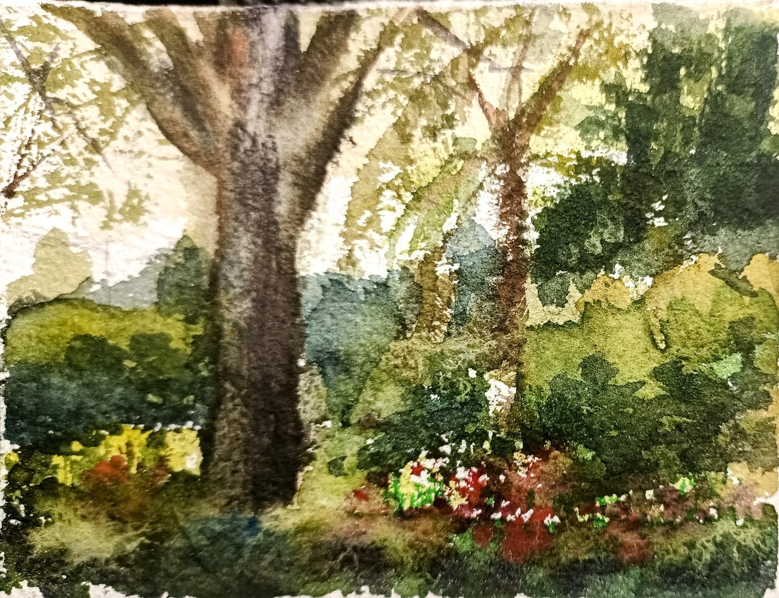 How simplify a landscape in watercolor - image 2 - student project