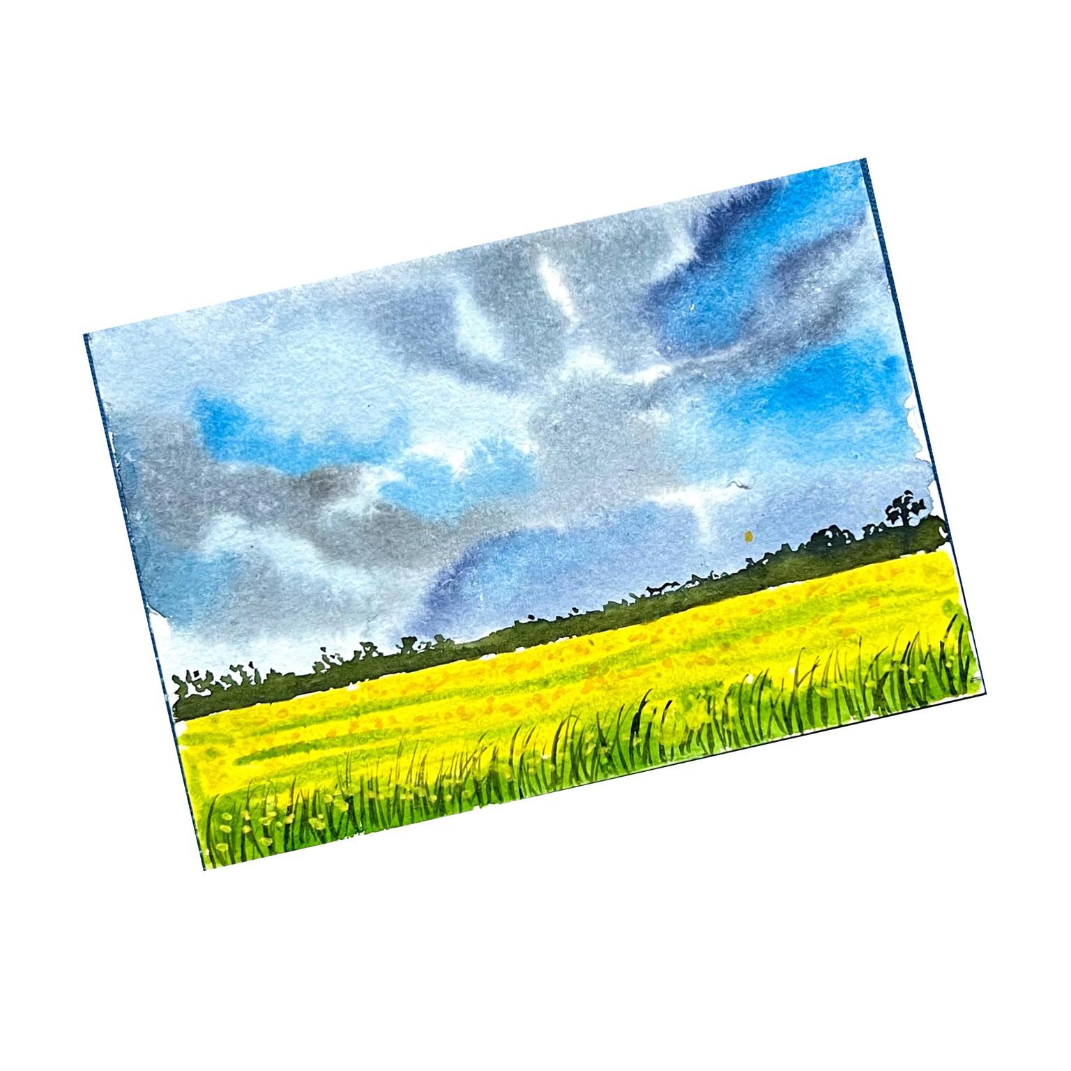 Monsoon moody landscapes - image 1 - student project