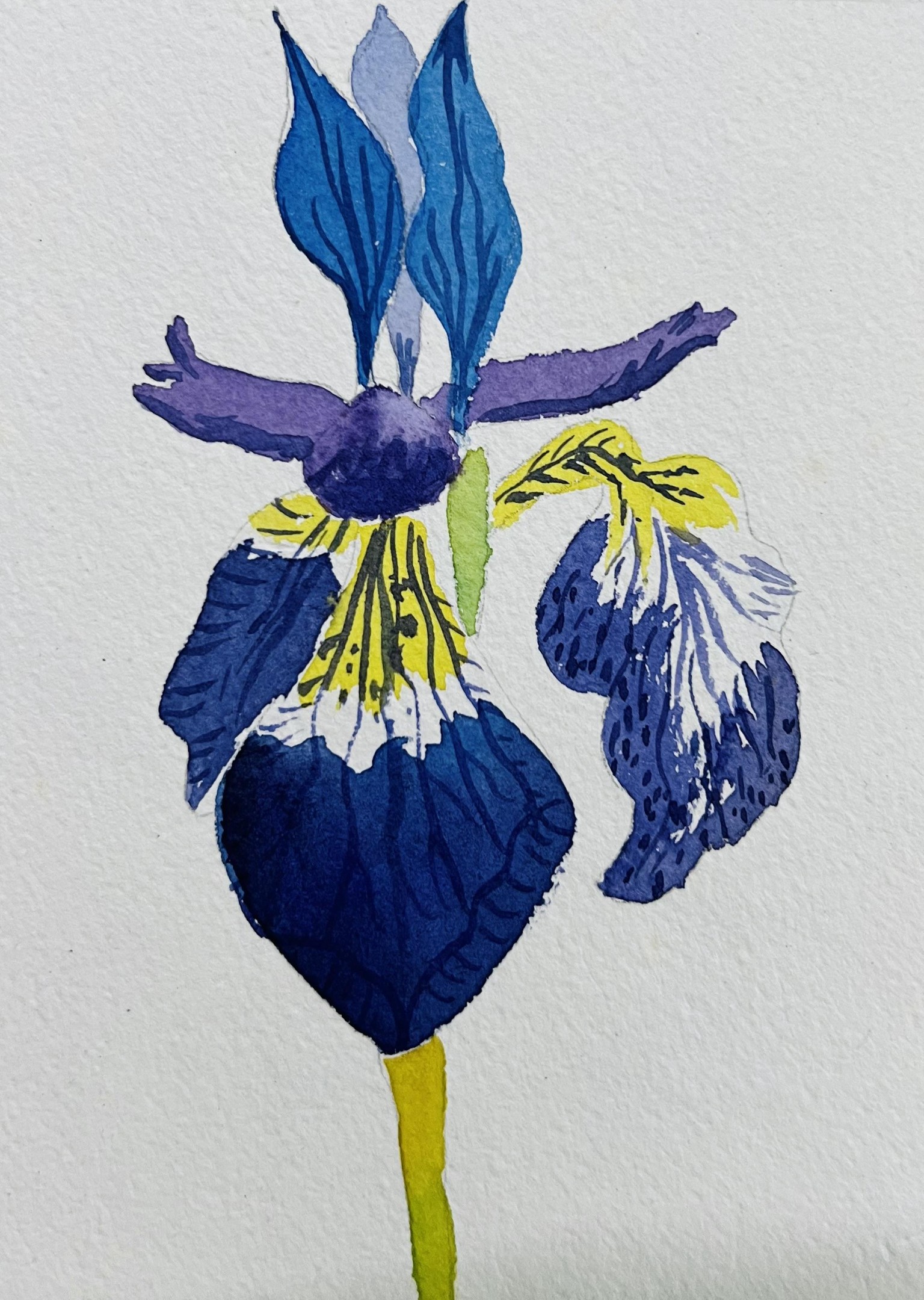 Loose but precise watercolor florals - image 4 - student project
