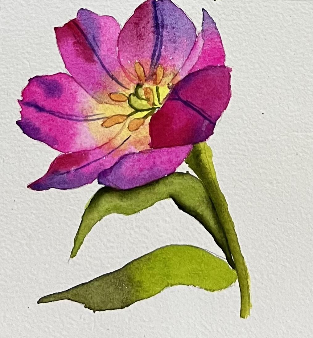 A-Z Water colour florals - image 4 - student project