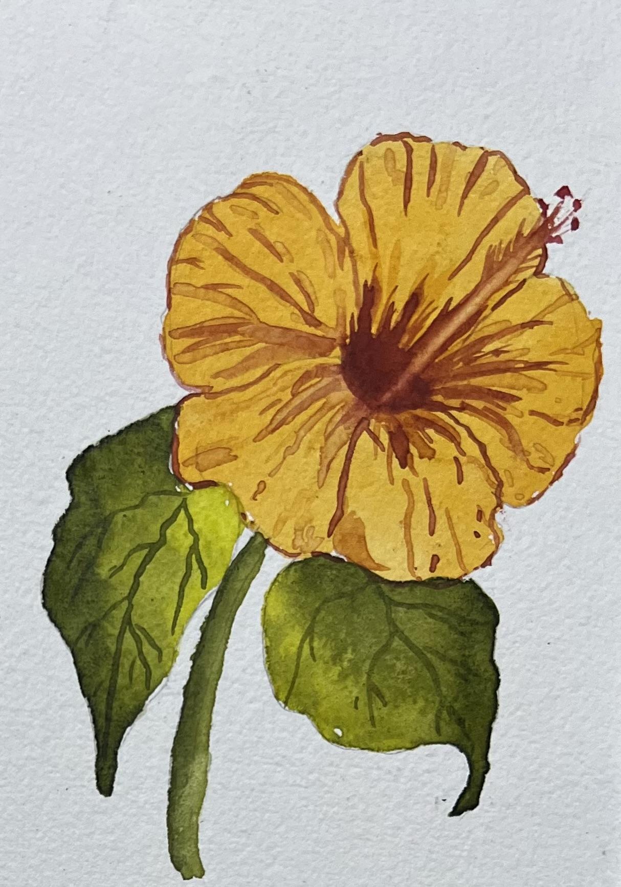 A-Z Water colour florals - image 15 - student project