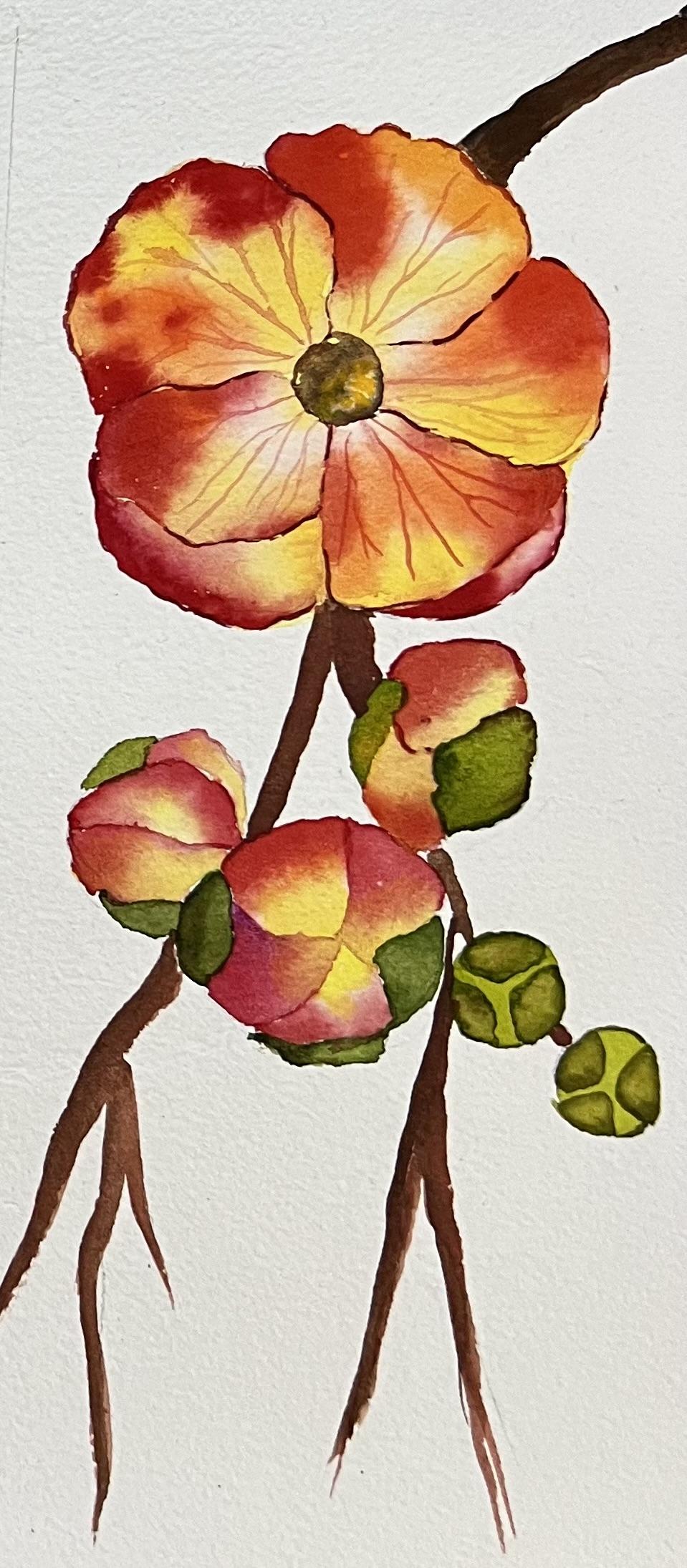 A-Z Water colour florals - image 2 - student project