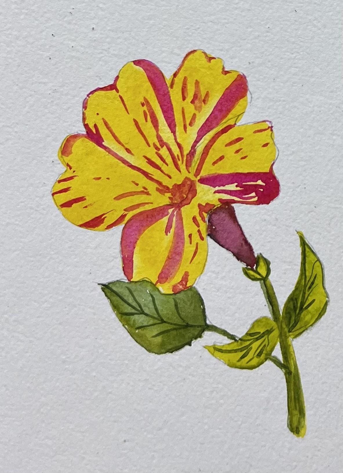 A-Z Water colour florals - image 14 - student project