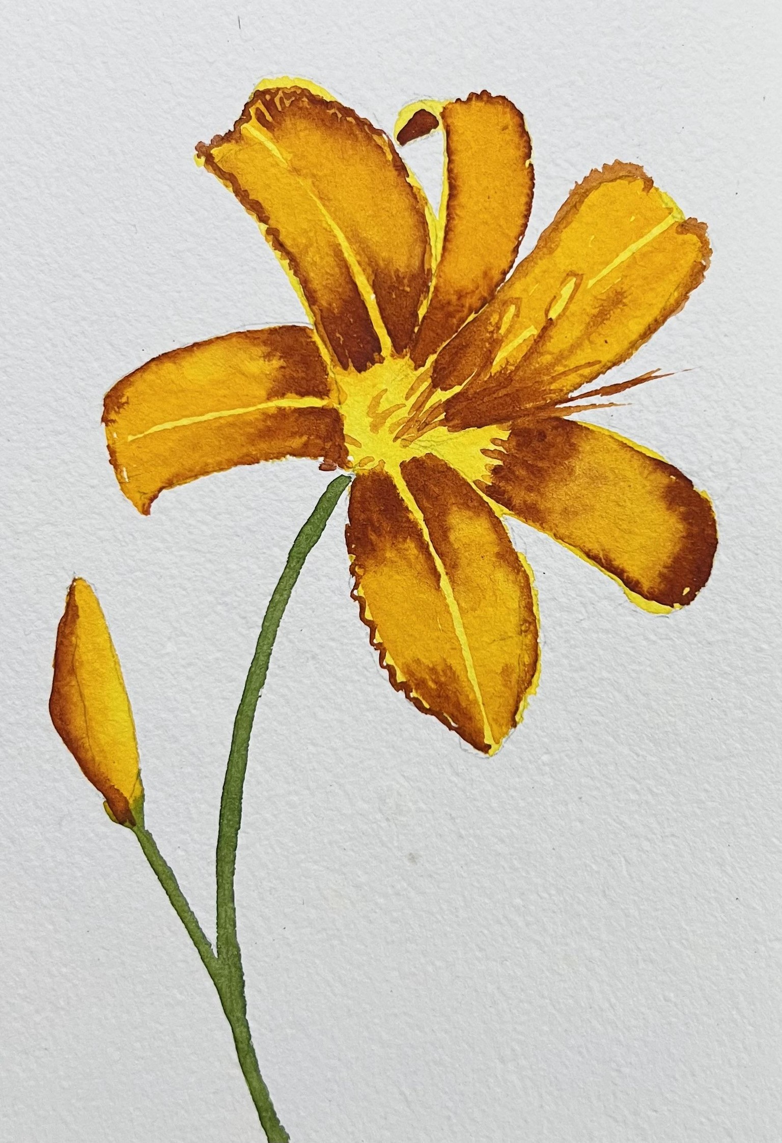 A-Z Water colour florals - image 20 - student project