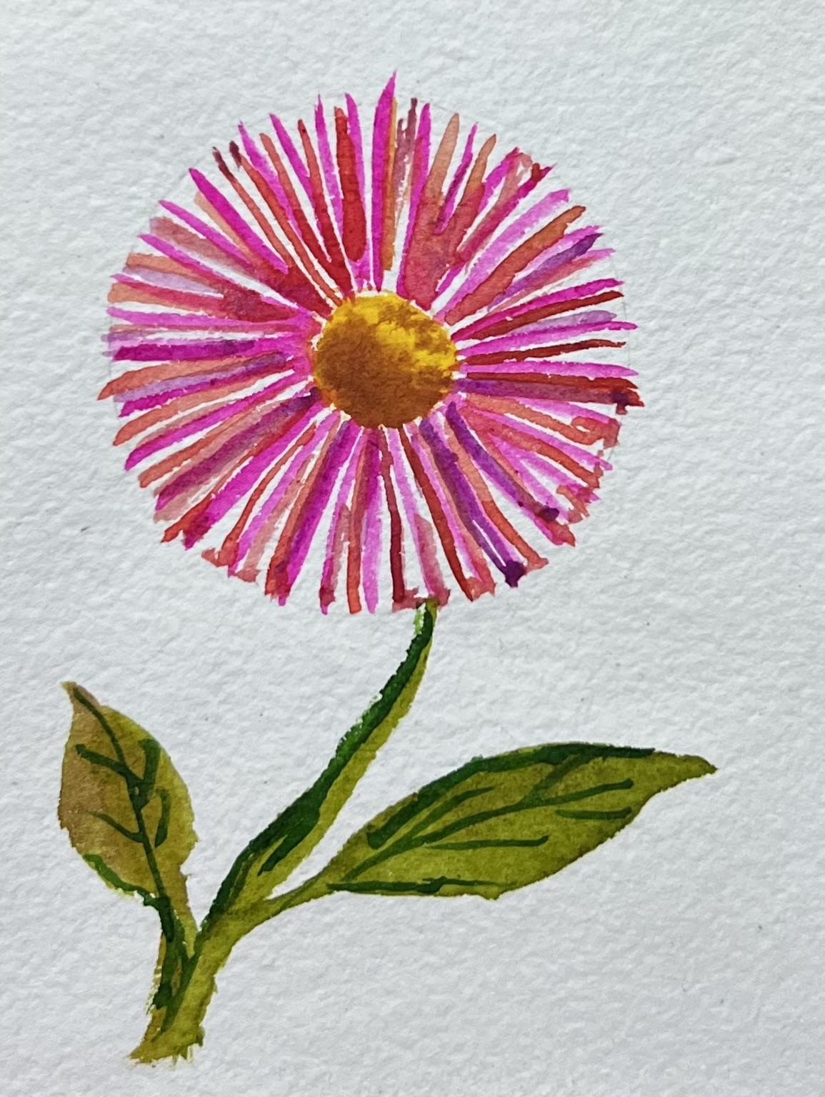 A-Z Water colour florals - image 12 - student project