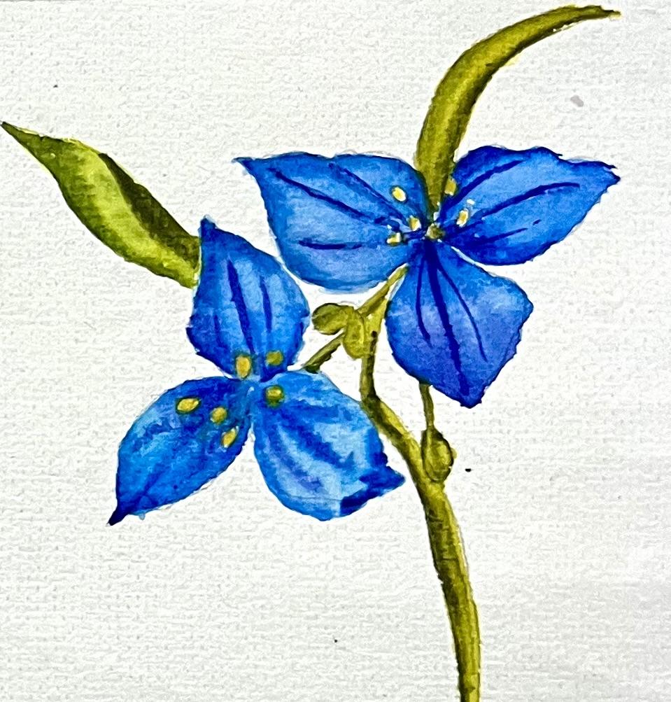 A-Z Water colour florals - image 6 - student project