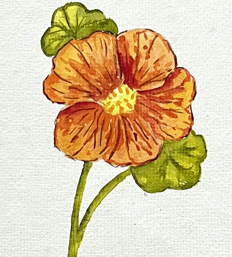 A-Z Water colour florals - image 7 - student project