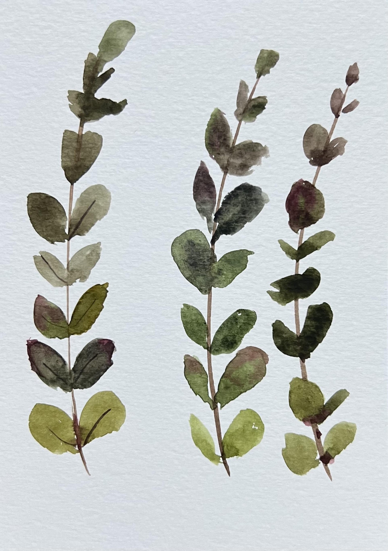 Watercolor botanicals from live reference - image 5 - student project