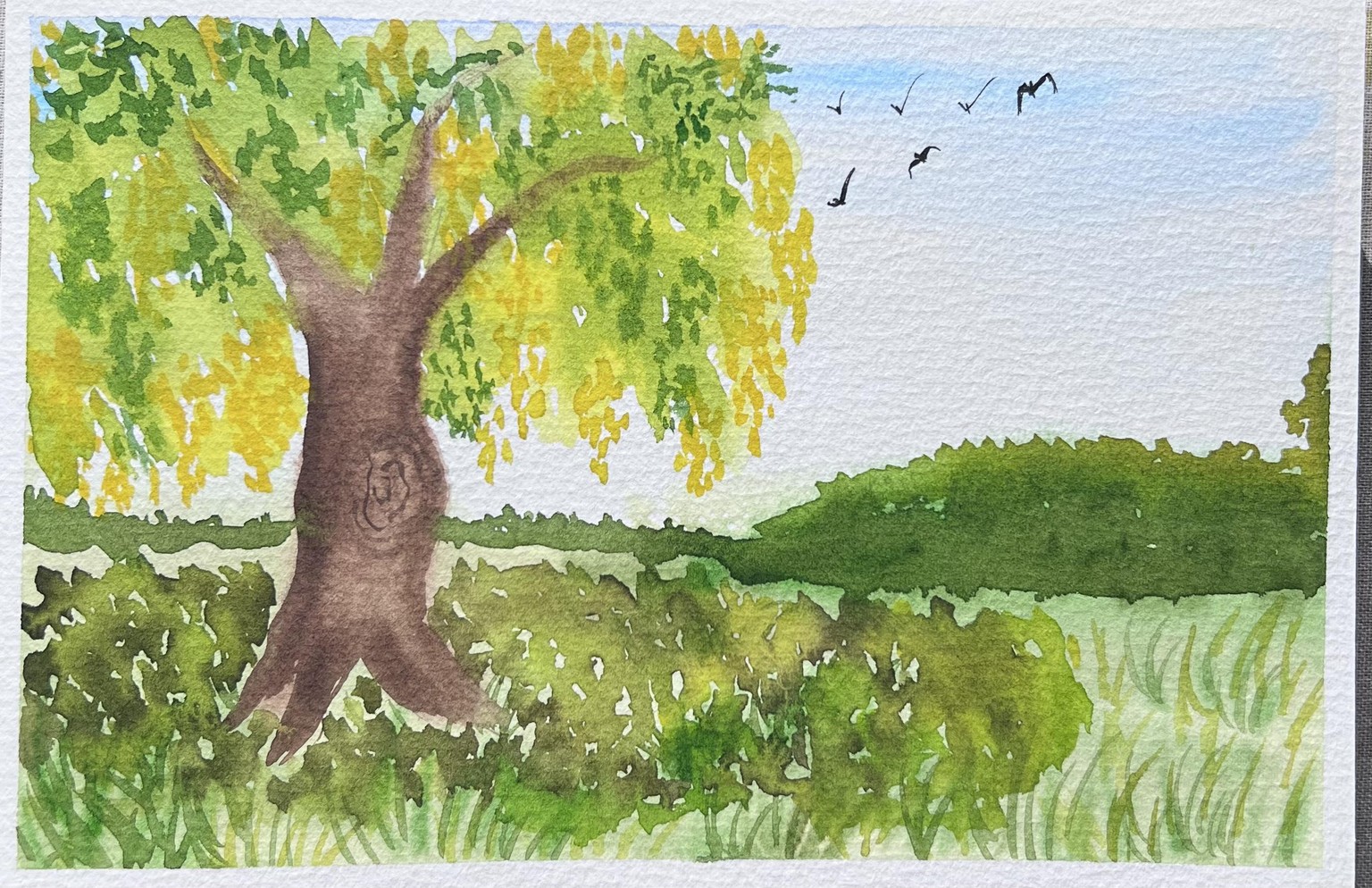 Golden shower tree - image 1 - student project