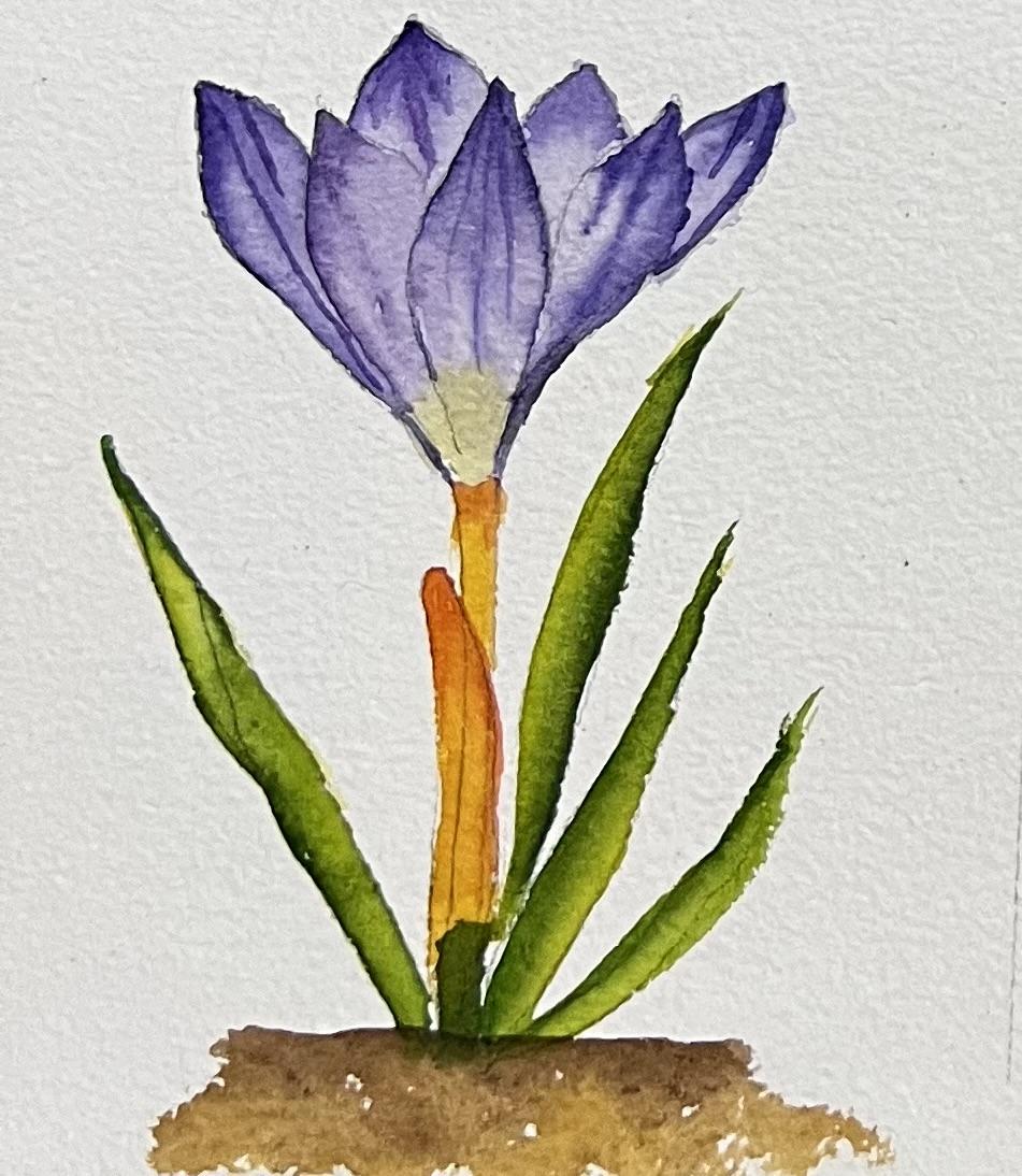 A-Z Water colour florals - image 3 - student project