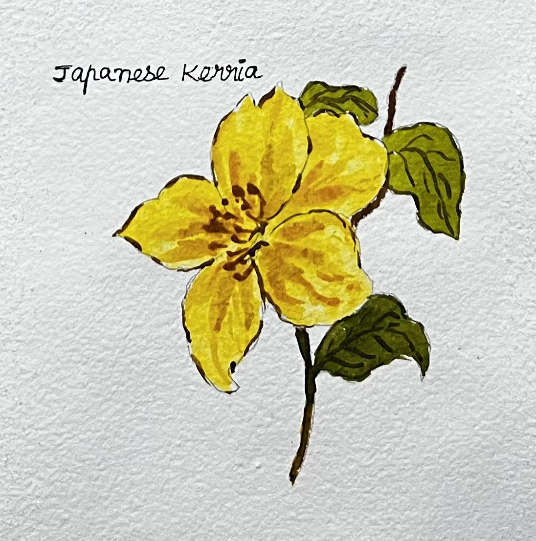 A-Z Water colour florals - image 17 - student project