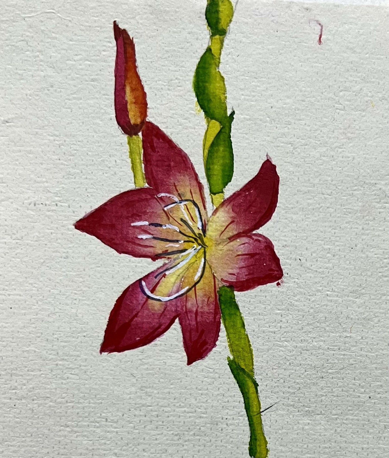 A-Z Water colour florals - image 11 - student project