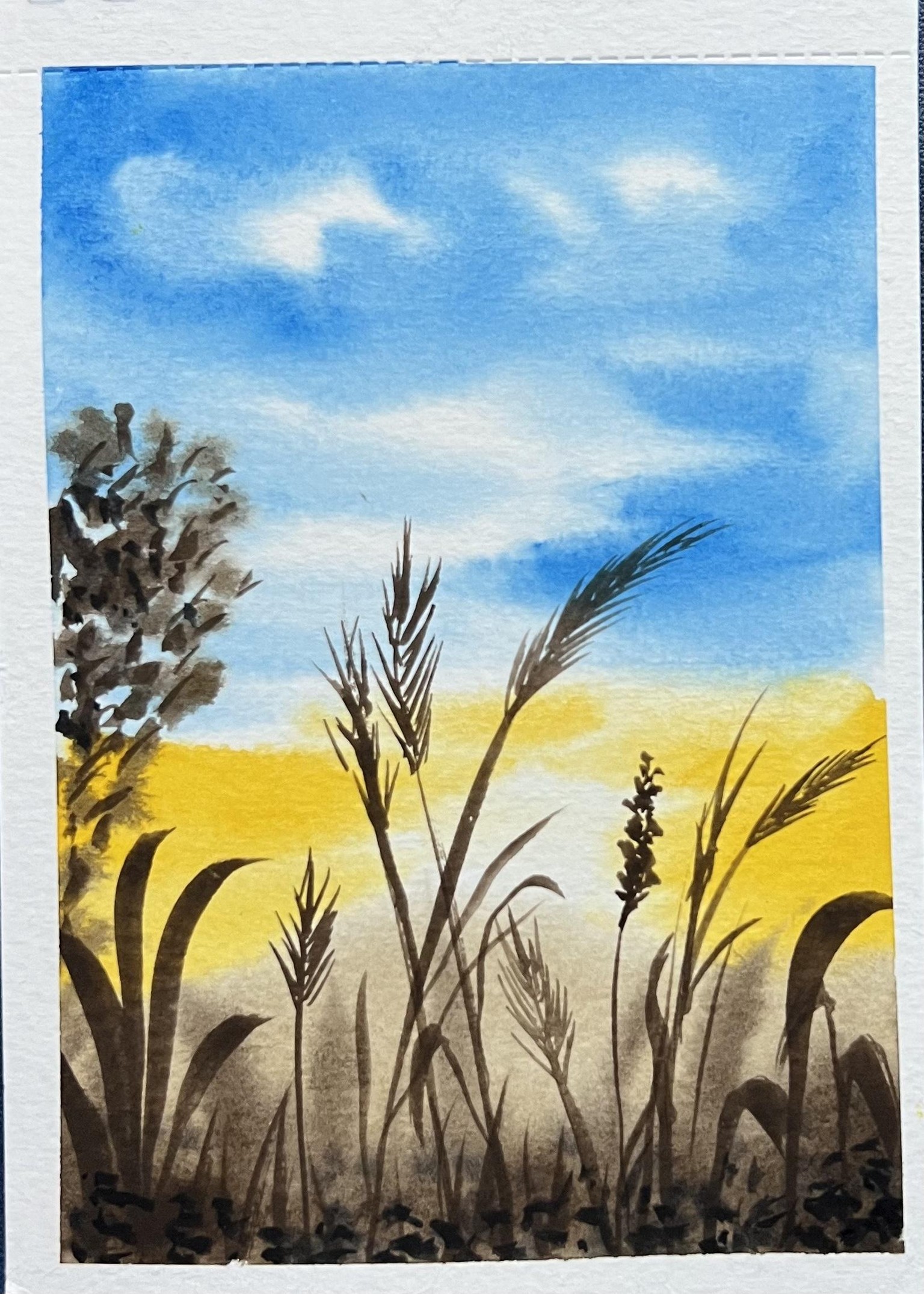 Natural landscape - image 23 - student project