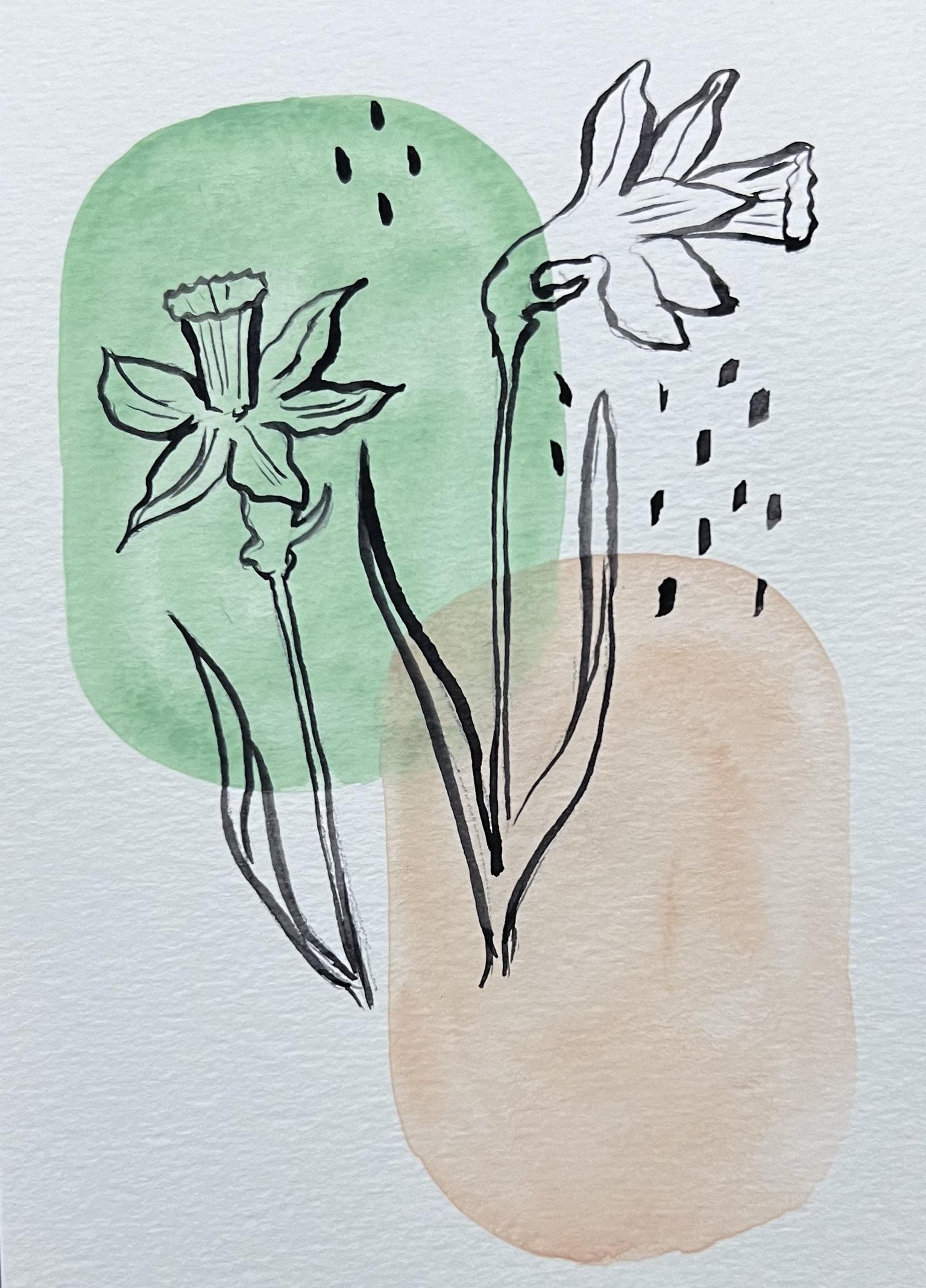 Watercolor botanicals from live reference - image 1 - student project