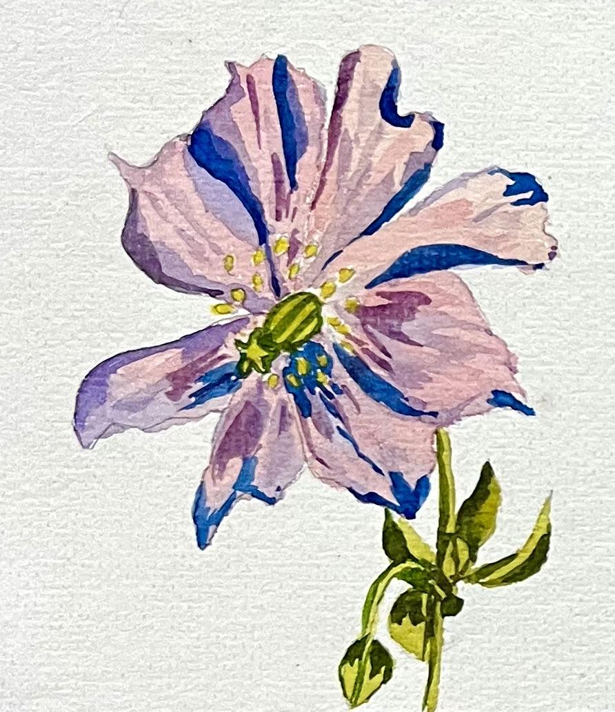 A-Z Water colour florals - image 9 - student project