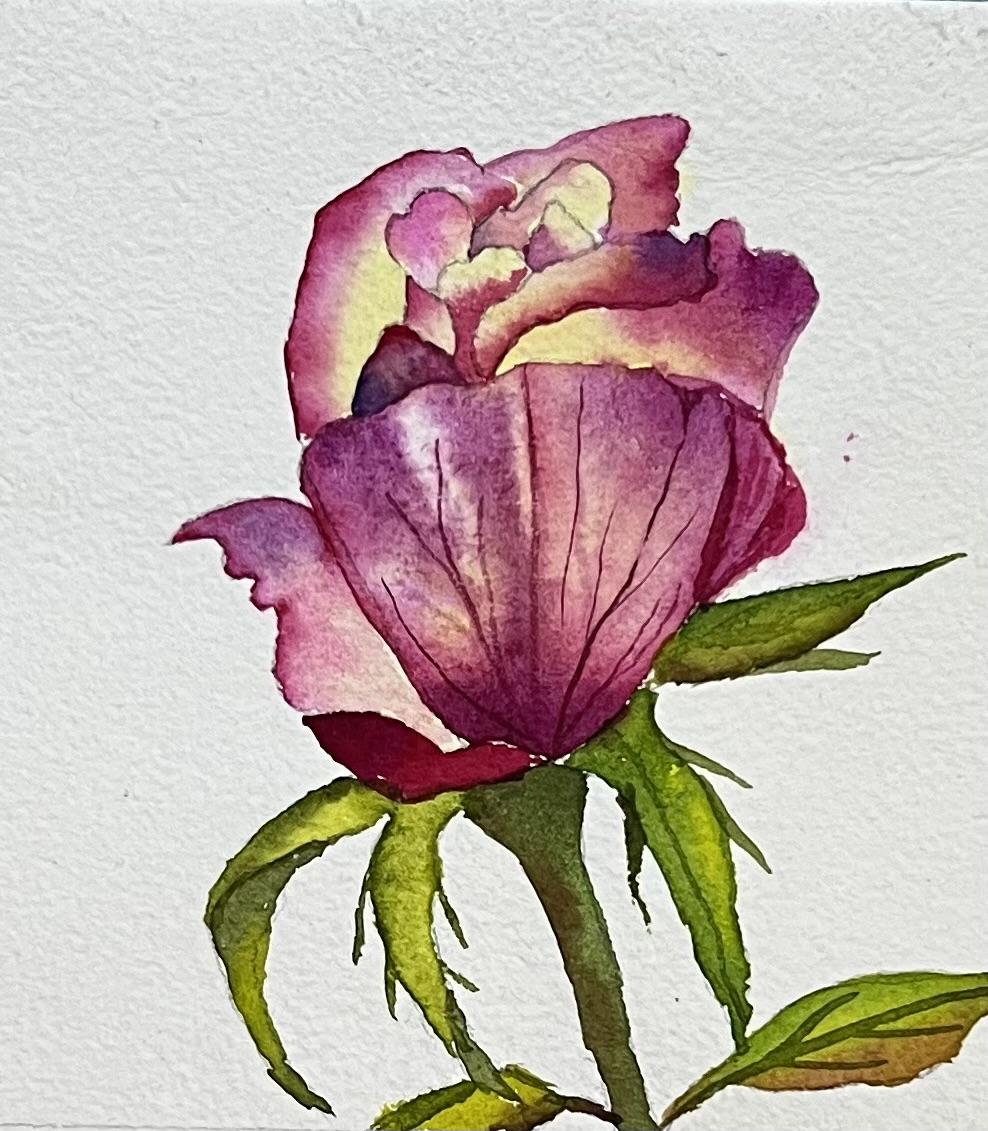 A-Z Water colour florals - image 1 - student project