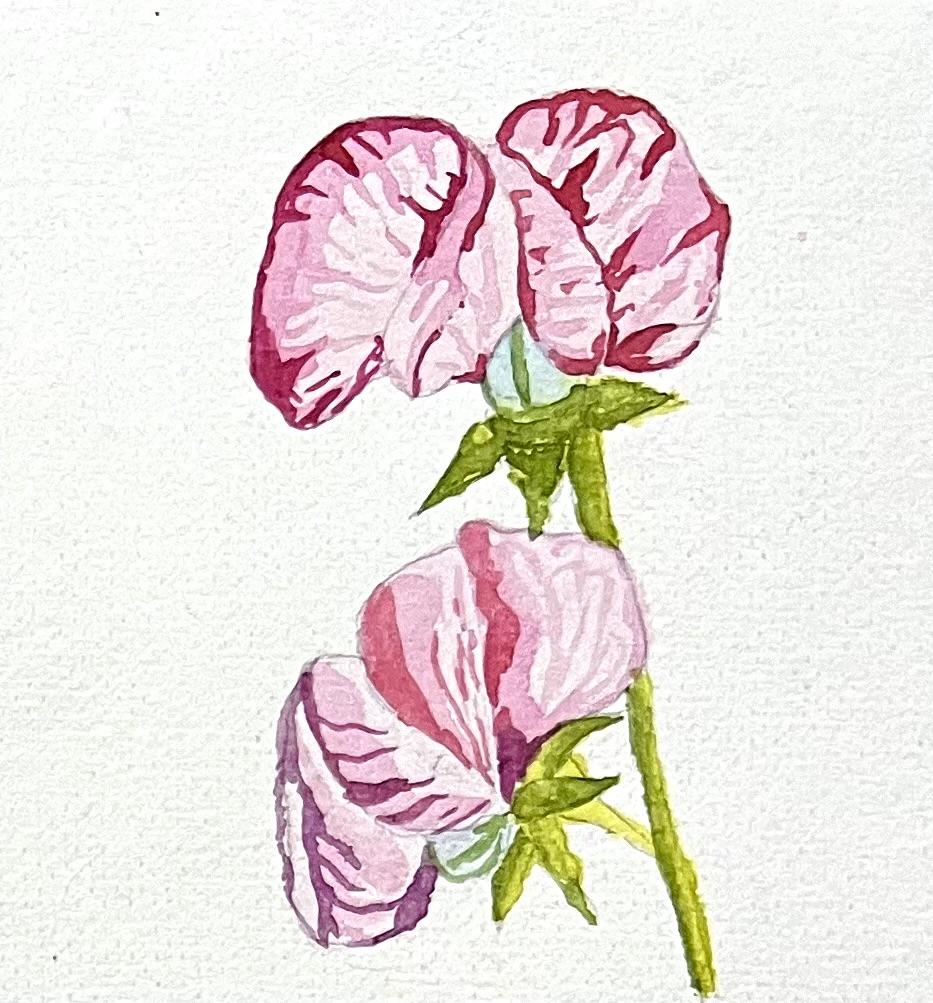 A-Z Water colour florals - image 8 - student project