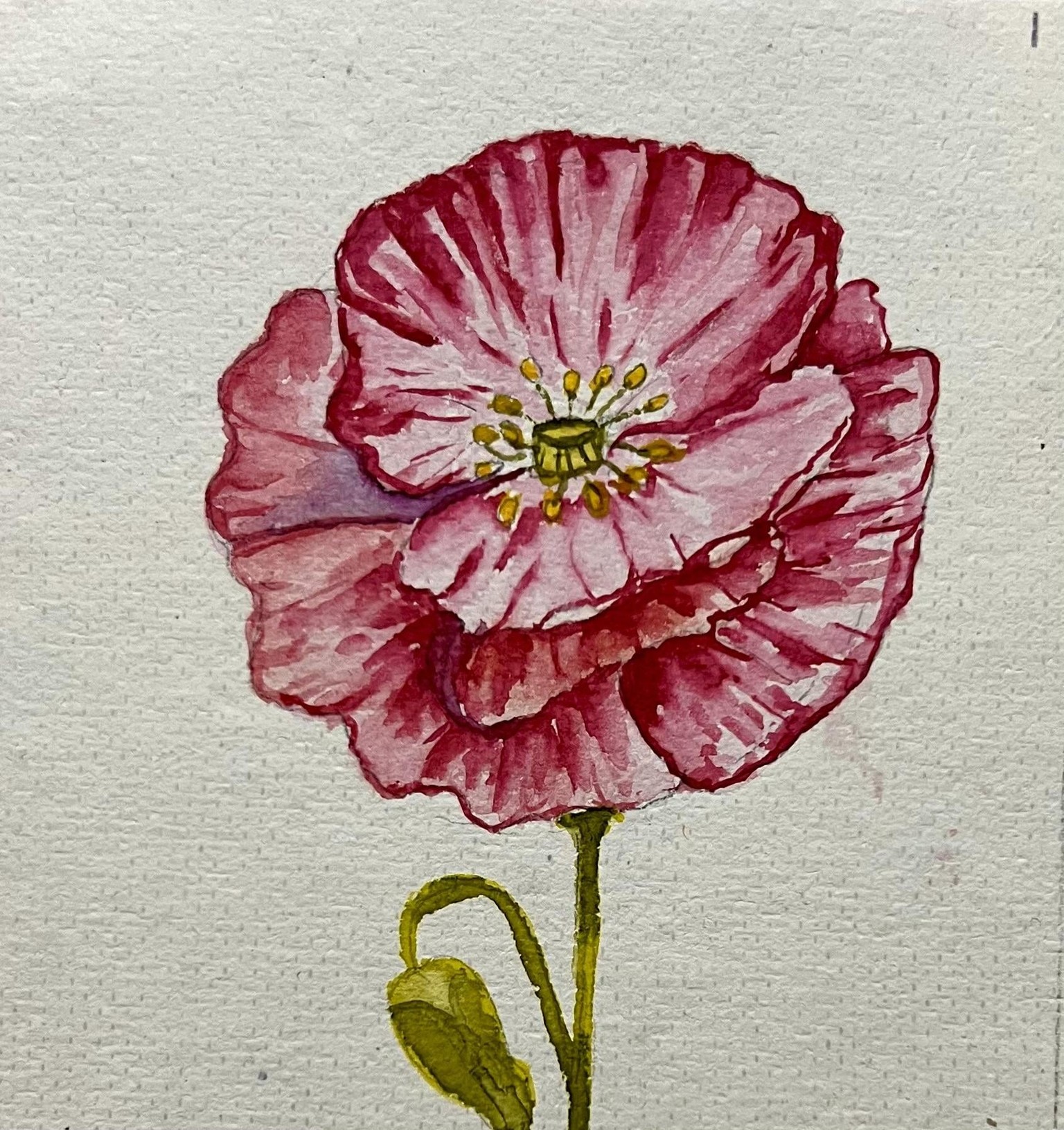 A-Z Water colour florals - image 10 - student project