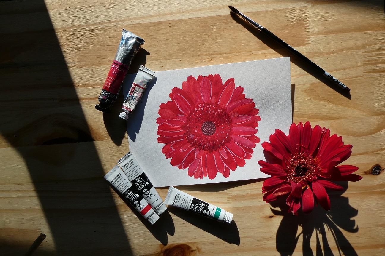 Gerbera flower - image 4 - student project
