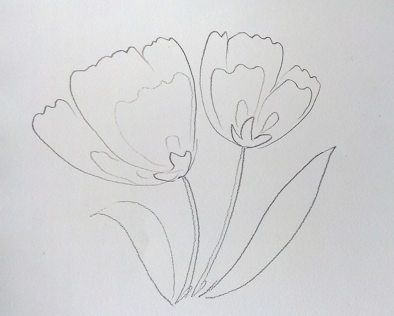 Loose watercolor tulips - image 2 - student project
