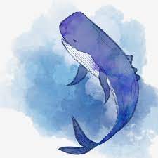 ballena - image 1 - student project