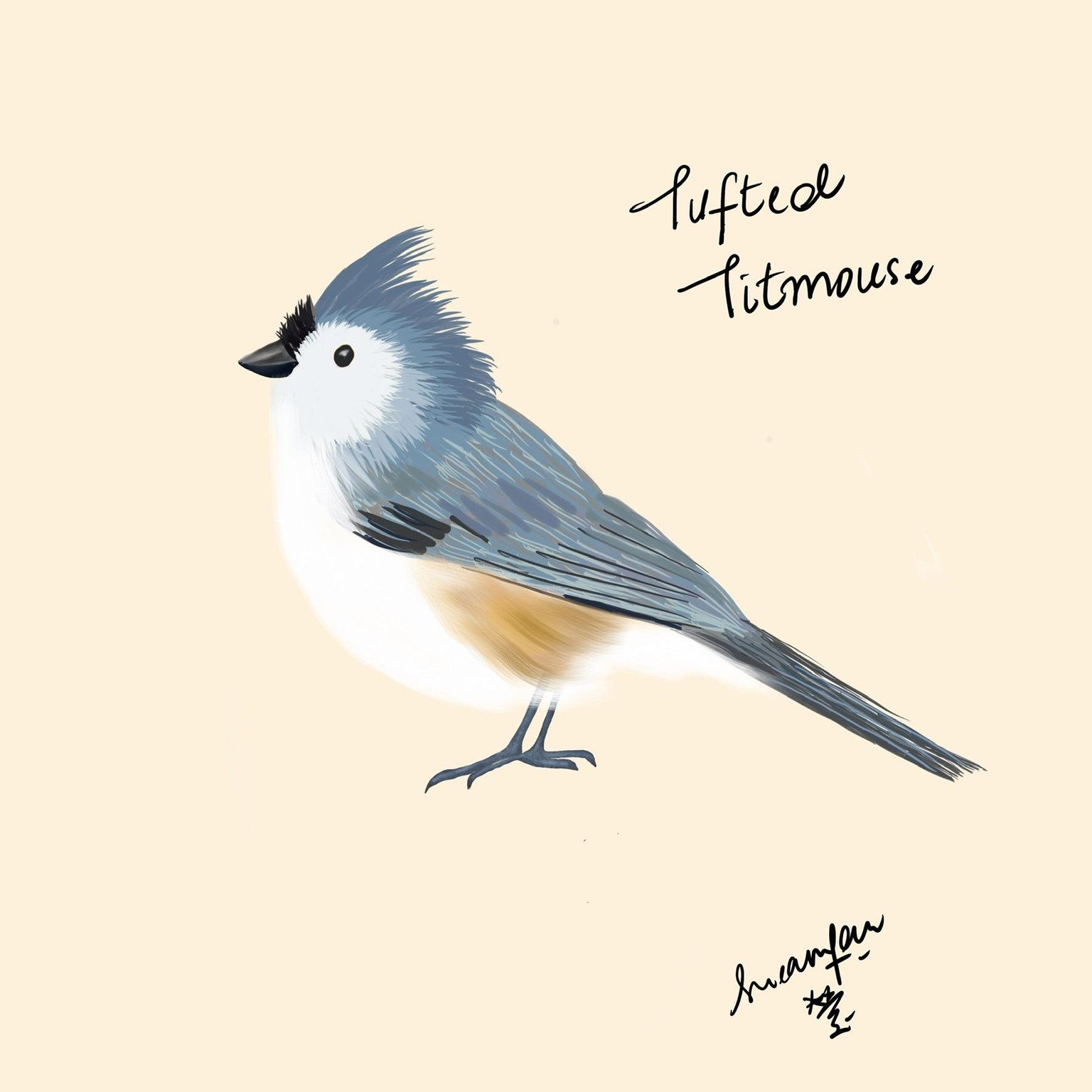 Birds - image 1 - student project