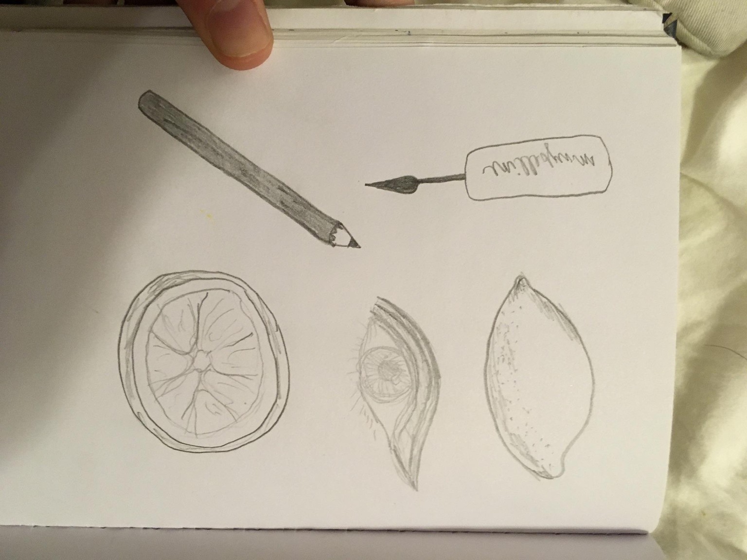 Lily Tice - image 3 - student project