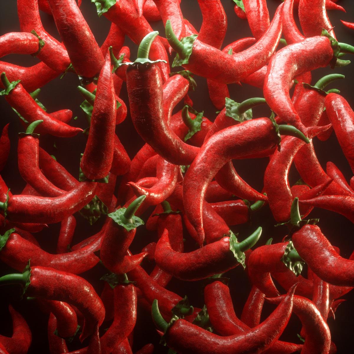 Chilli Peps - image 1 - student project
