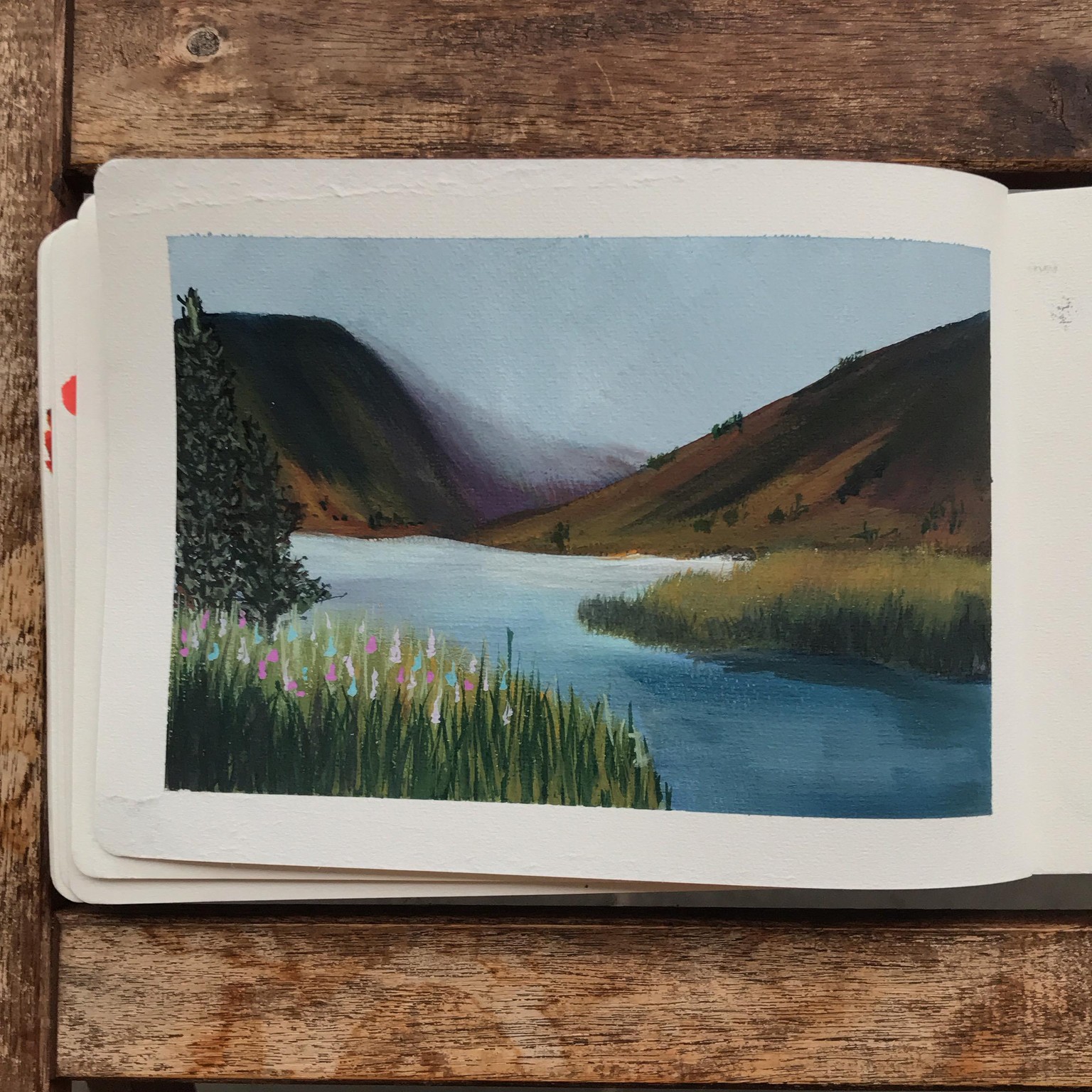 A moody, summer landscape - image 1 - student project
