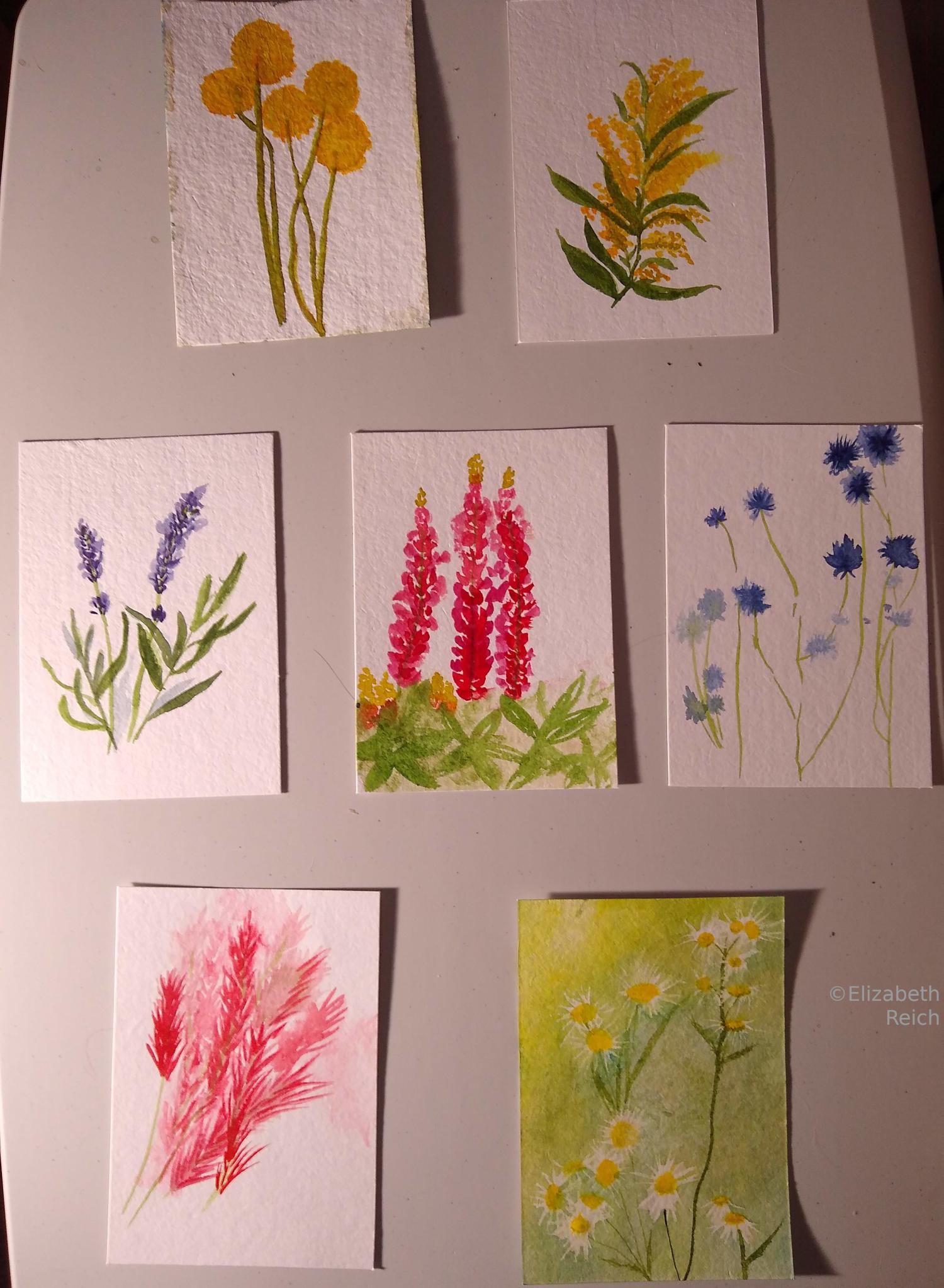 7 days of Flower Marks - image 1 - student project