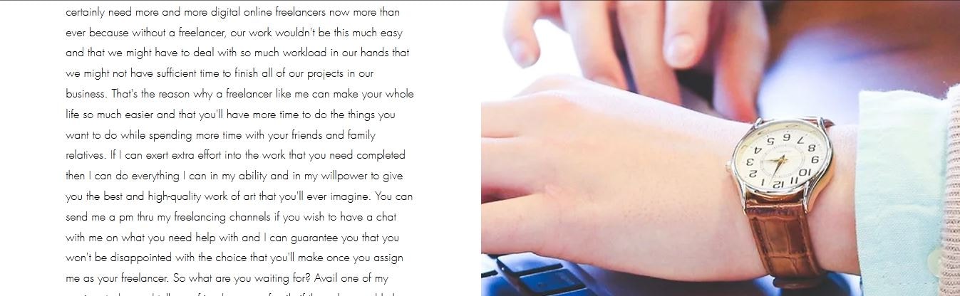 My Freelancing Website with some Portfolio Projects provided - image 15 - student project