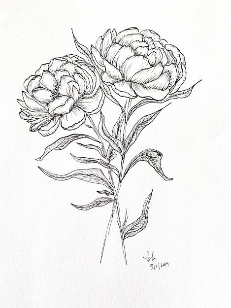 Pretty Peonies - image 2 - student project