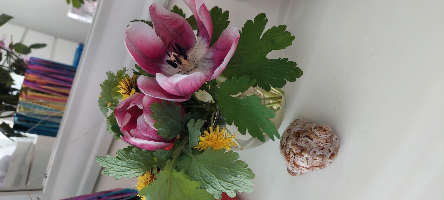 Small arrangement inspired by my pink and yellow tulips - image 1 - student project