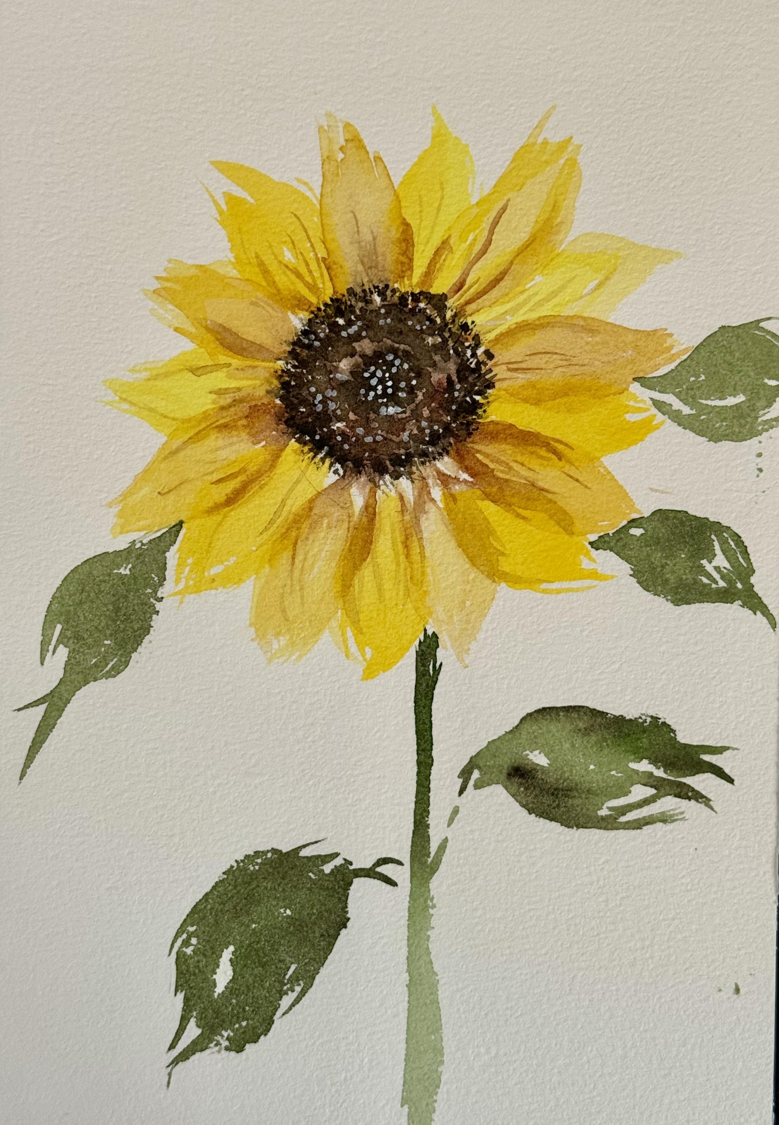 First project - image 1 - student project