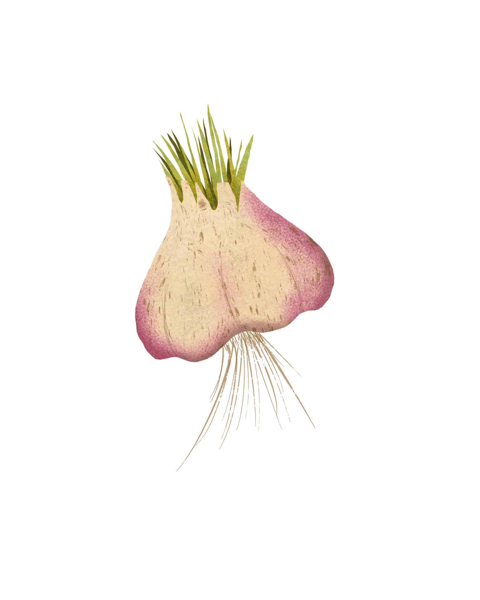 Broccoli is the Unfairly Maligned Vegetable - image 8 - student project