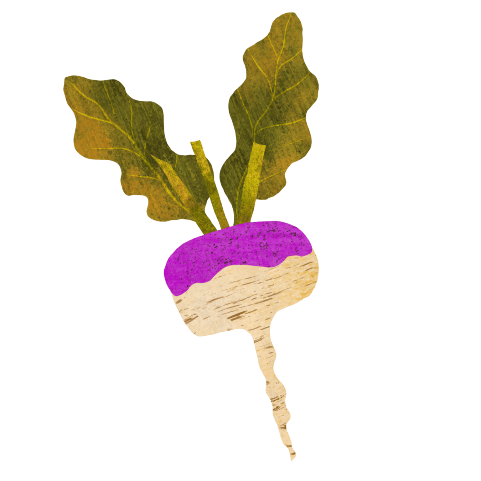 Broccoli is the Unfairly Maligned Vegetable - image 7 - student project