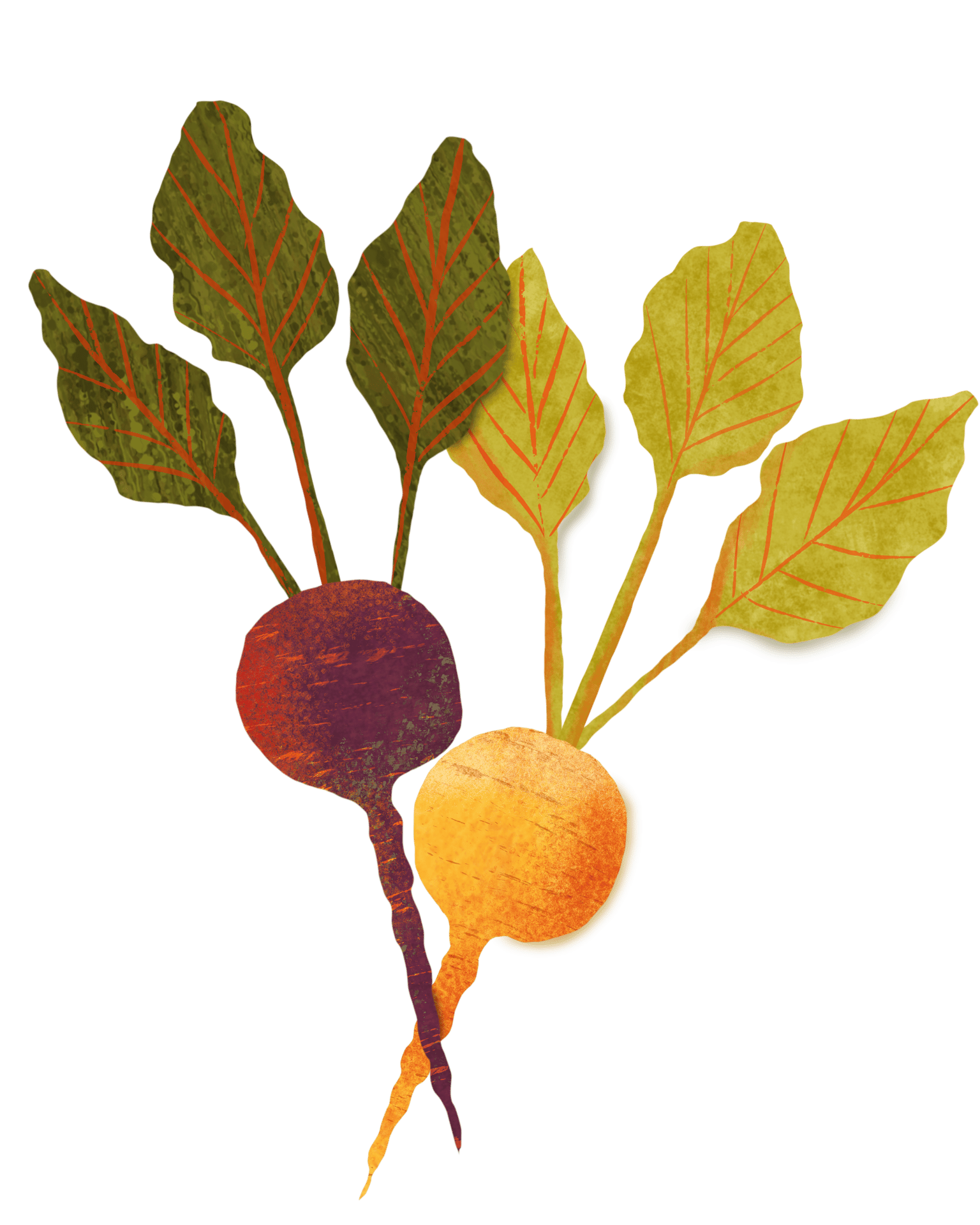 Broccoli is the Unfairly Maligned Vegetable - image 4 - student project