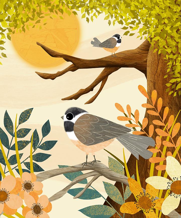 Sharing my love of all things birds, texture and Affinity Designer - image 2 - student project