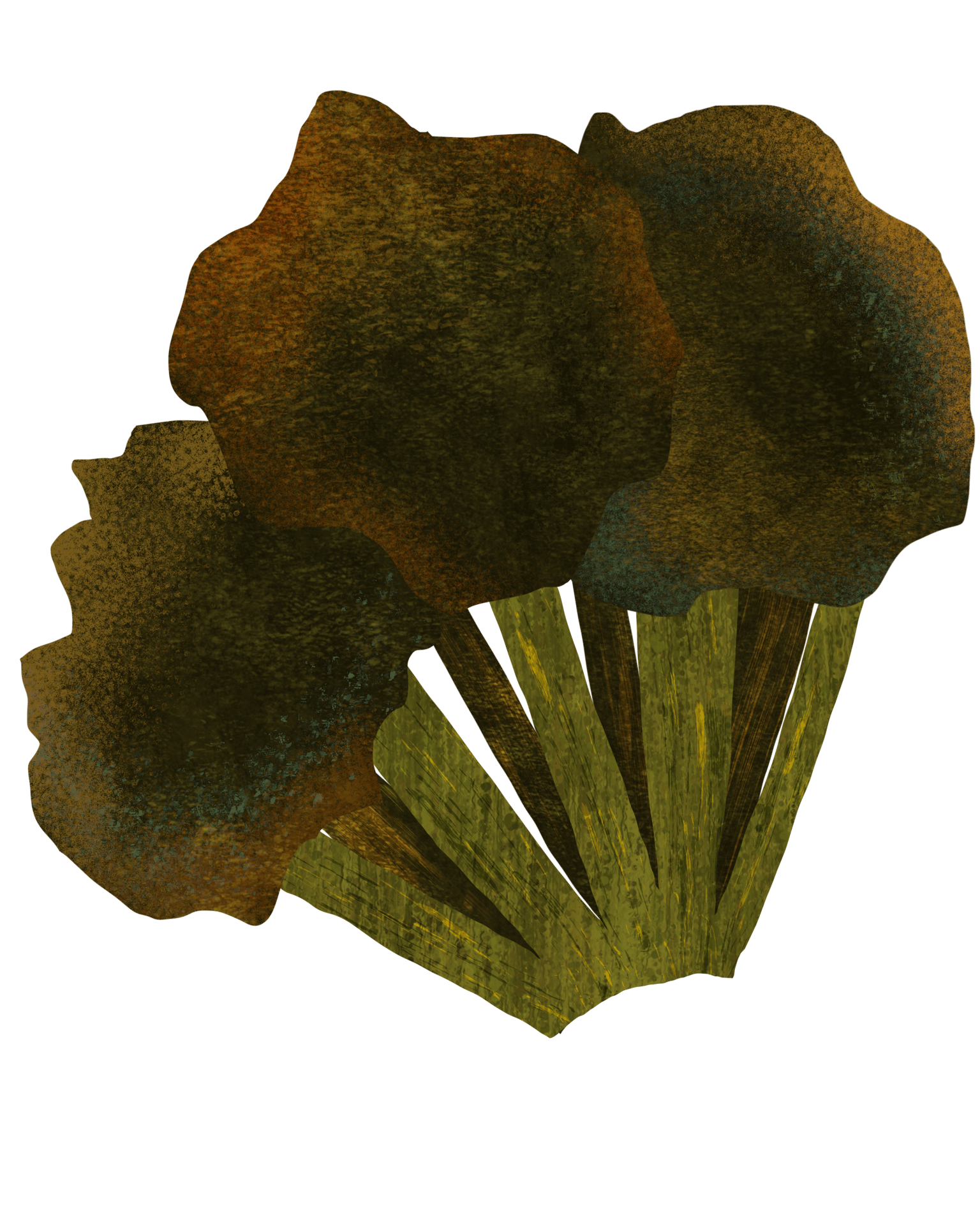 Broccoli is the Unfairly Maligned Vegetable - image 2 - student project