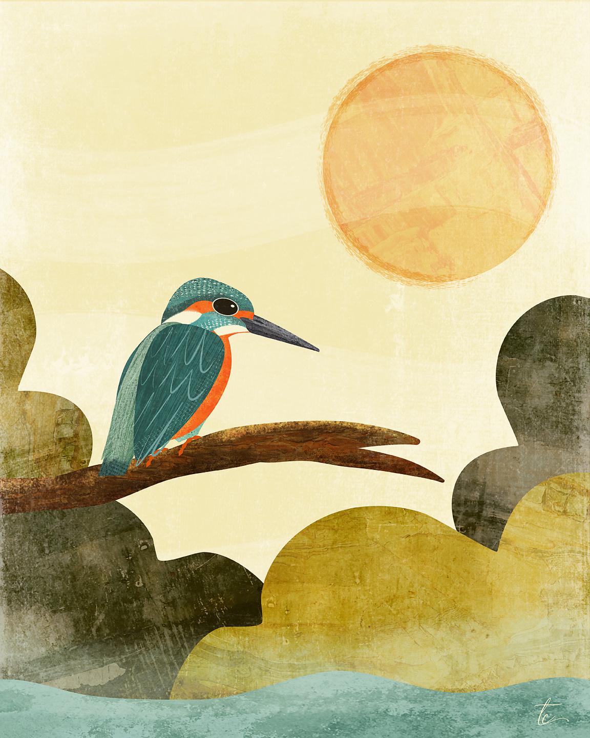 Sharing my love of all things birds, texture and Affinity Designer - image 4 - student project