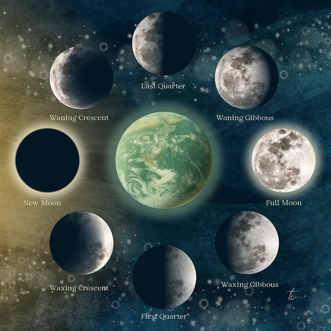My neverending love of creating space illustrations continues | enjoy the class! - image 1 - student project