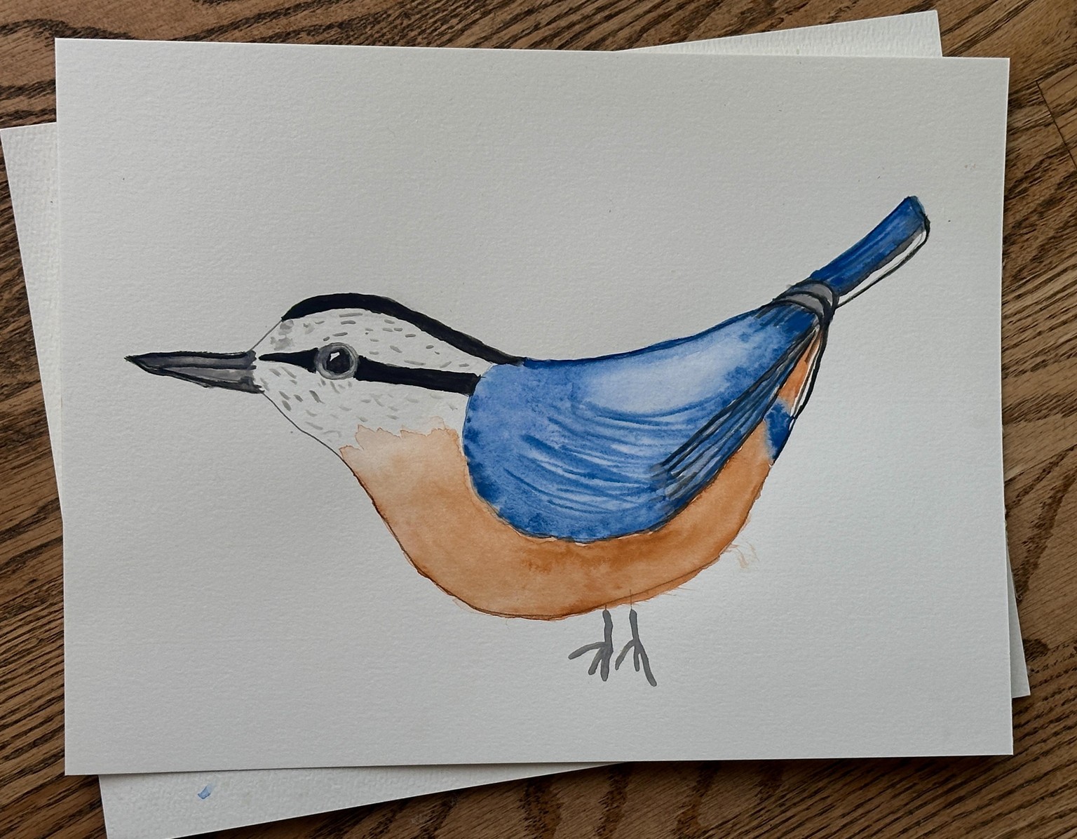 Bird and red breasted nuthatch - image 1 - student project
