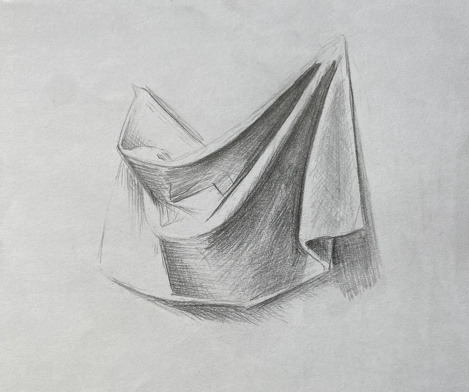 Drapery & Garlic - image 1 - student project