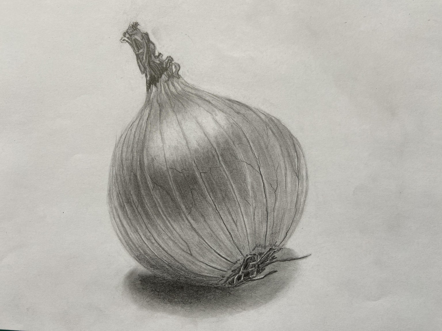 Drapery & Garlic - image 2 - student project