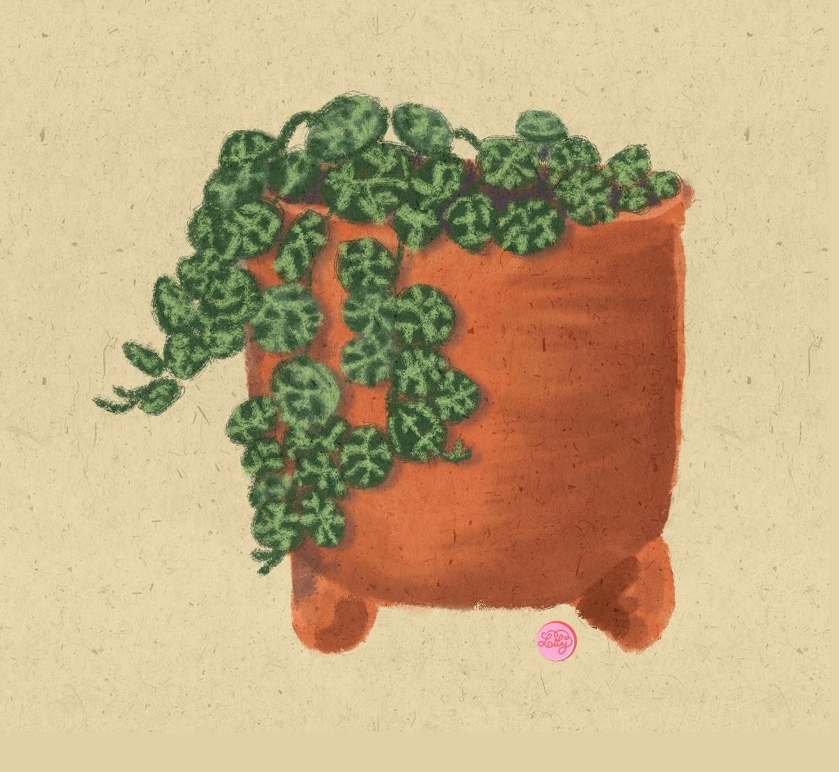 Warm up with Gia - image 4 - student project