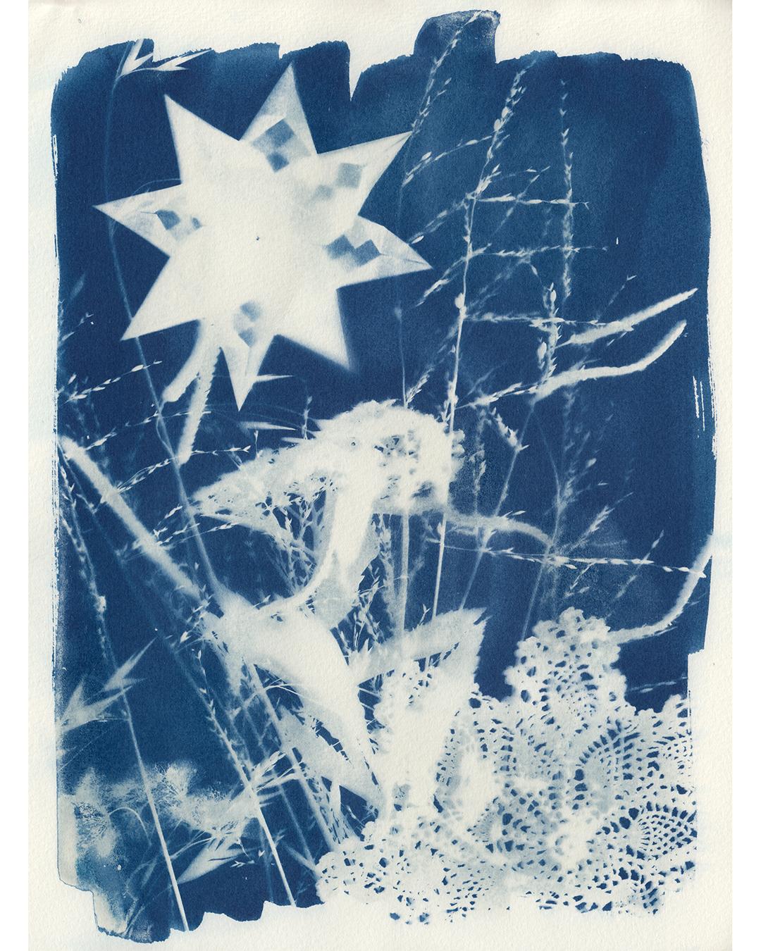 Cyanotype - image 1 - student project
