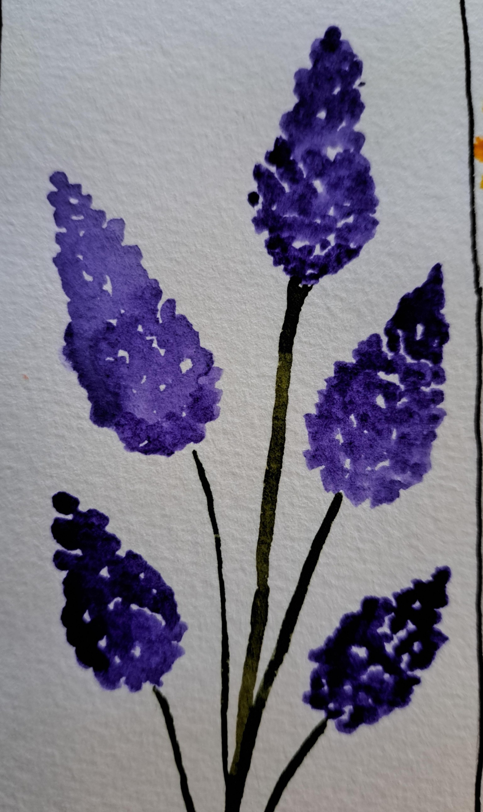 Lavender - image 1 - student project